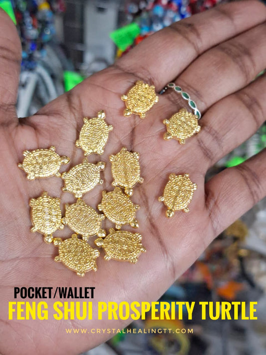 Prosperity Turtle
