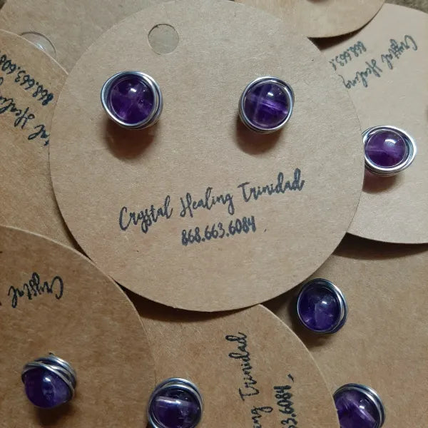 Amethyst Earrings-stainless steel