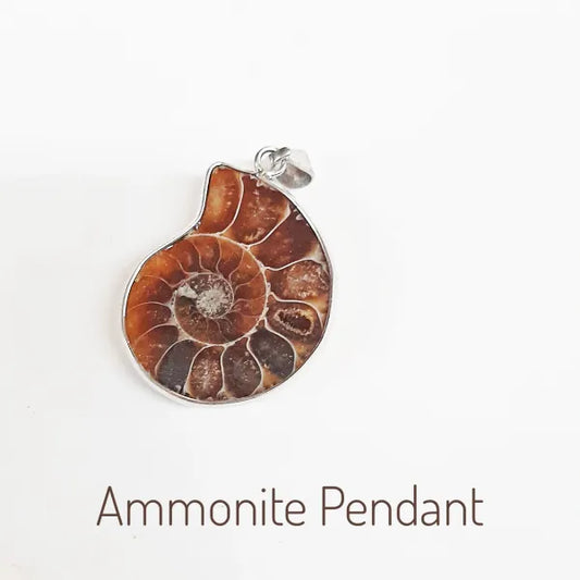 Ammonite Fossil Pendant