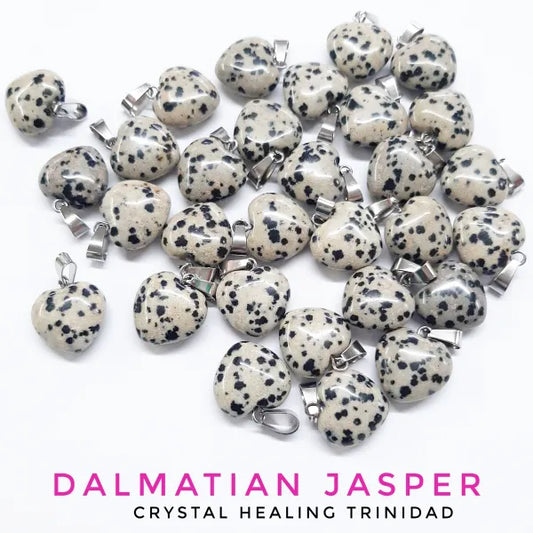 Dalmatian Jasper