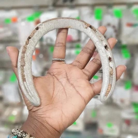 Lucky Used Horse Shoe