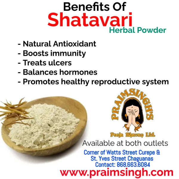 Shatavari Powder