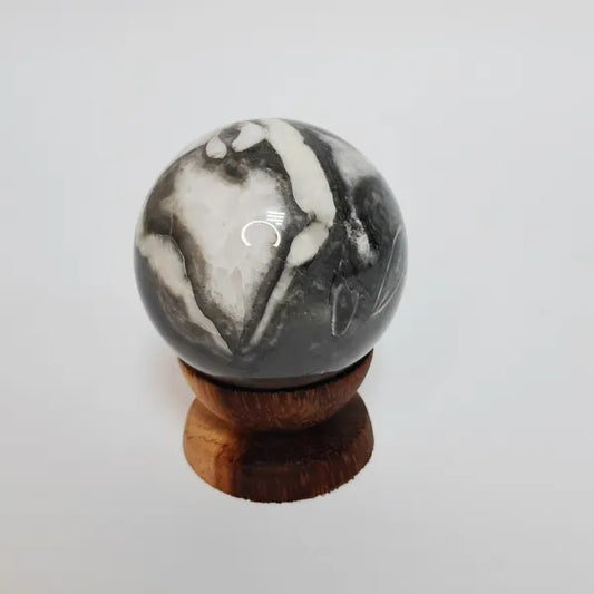 Shell Fossil Sphere Ball