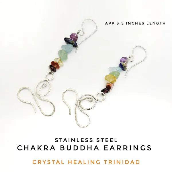Stainless Steel Chakra Earrings