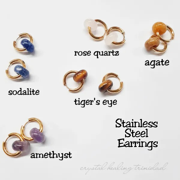 Stainless Steel Crystal Earrings