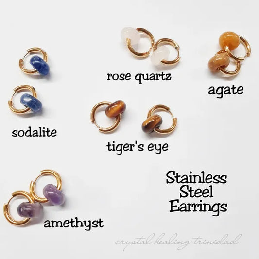 Stainless Steel Crystal Earrings