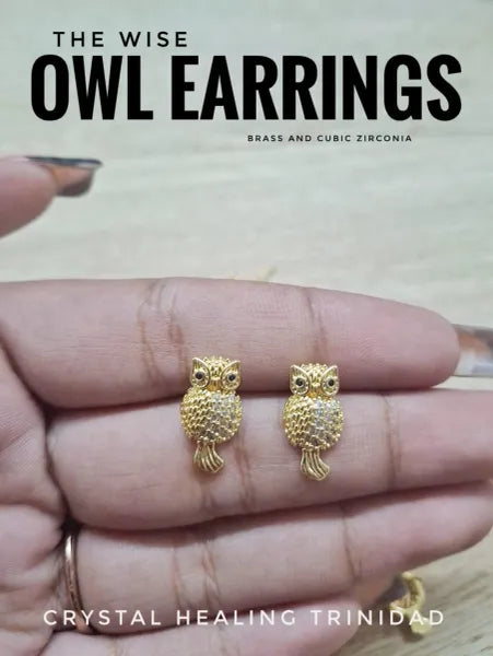 The Wise Owl Earrings-Brass & Cubic Zirconia